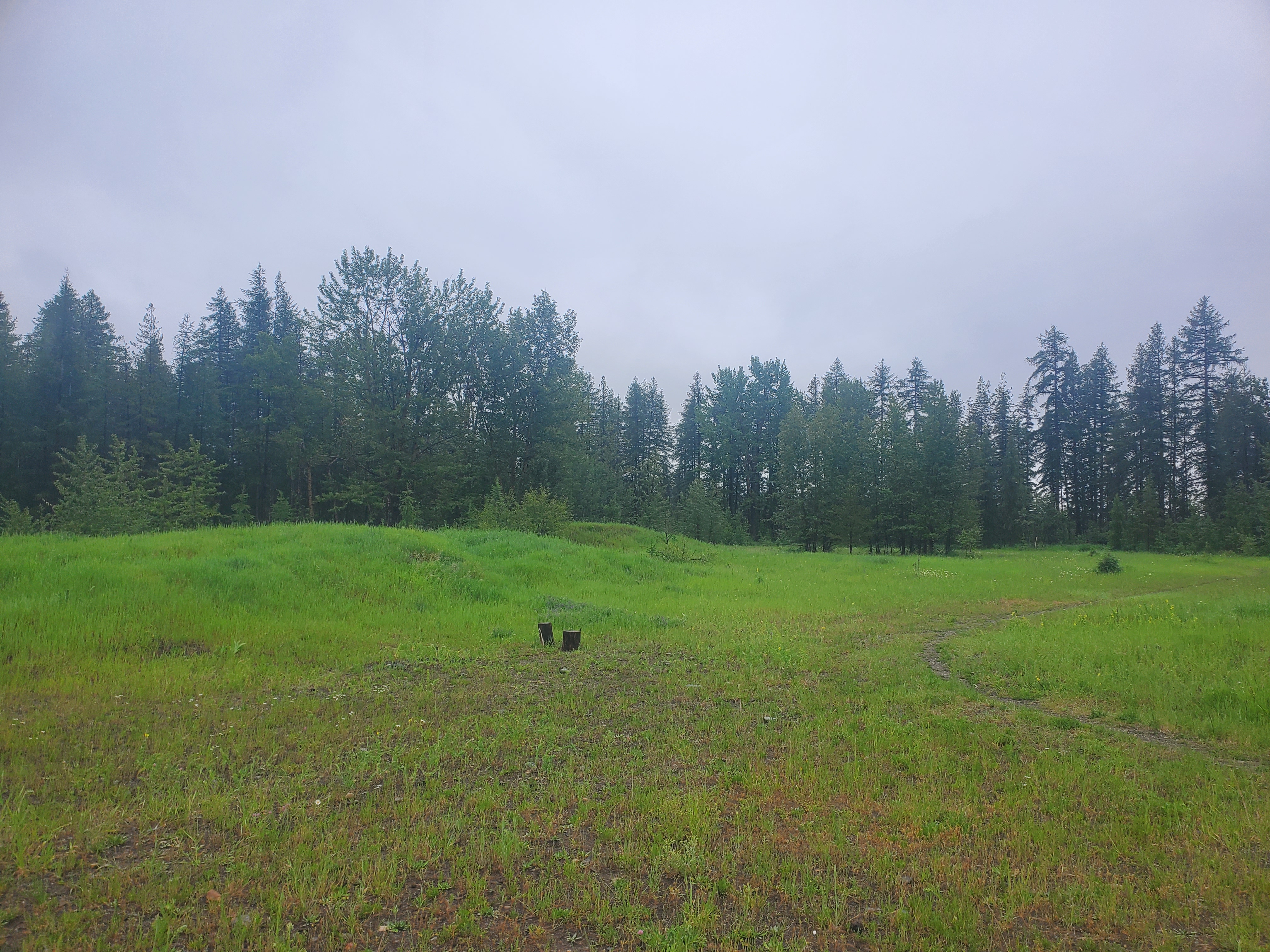 a meadow in kimberley, bc